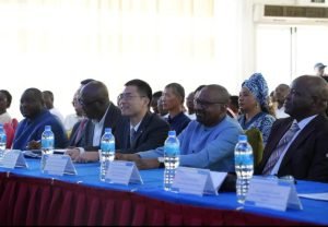 New Chinese Chamber of Commerce Established in Sierra Leone
