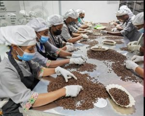 China Climbs to 4th-Largest Buyer of Ethiopian Coffee
