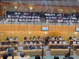 botswana children's rights