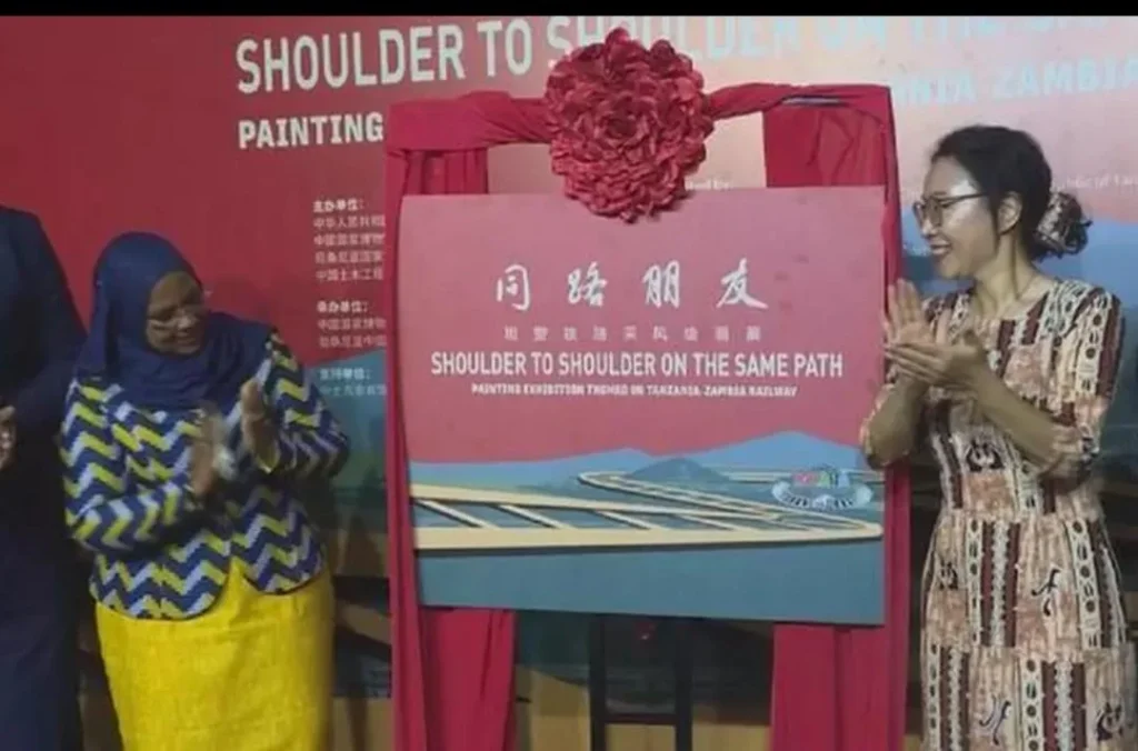 tanzania china cooperation