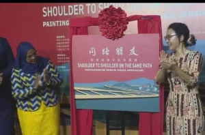 tanzania china cooperation