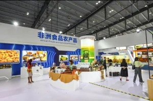 Africa–China Trade Shifts:From Raw Exports to Consumer‑Ready Goods