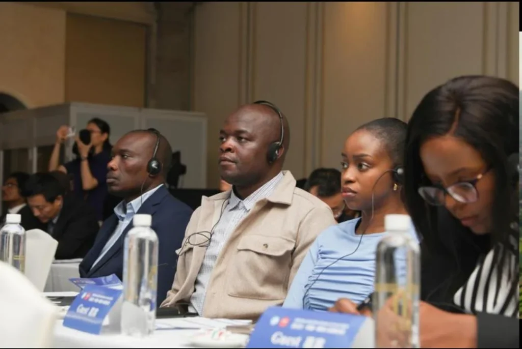 Experts from China and Africa