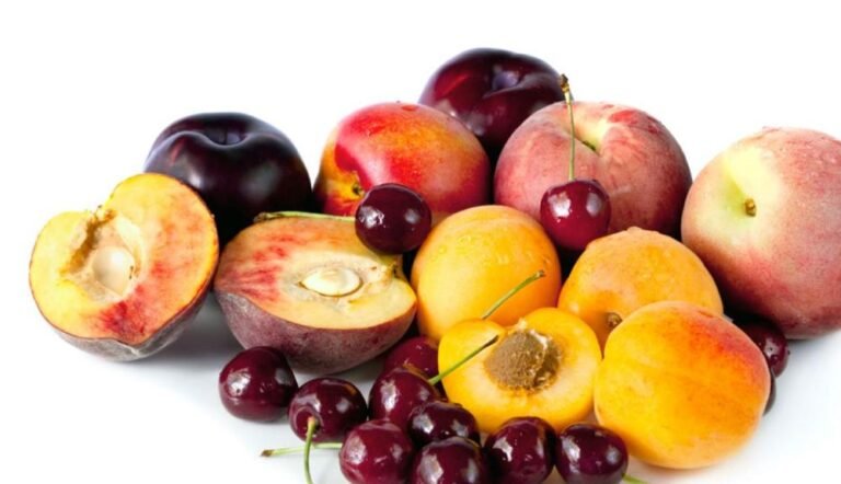 South Africa Opens Chinese Market with First Shipment