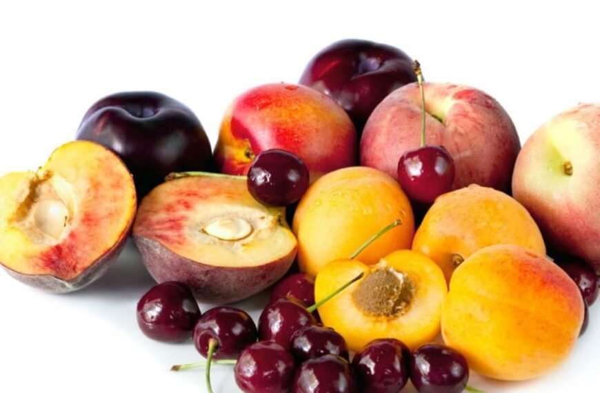 South Africa Opens Chinese Market with First Shipment