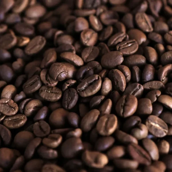 Uganda export earnings surge 63 percent driven coffee