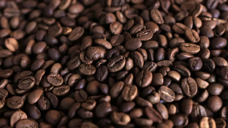 Uganda export earnings surge 63 percent driven coffee