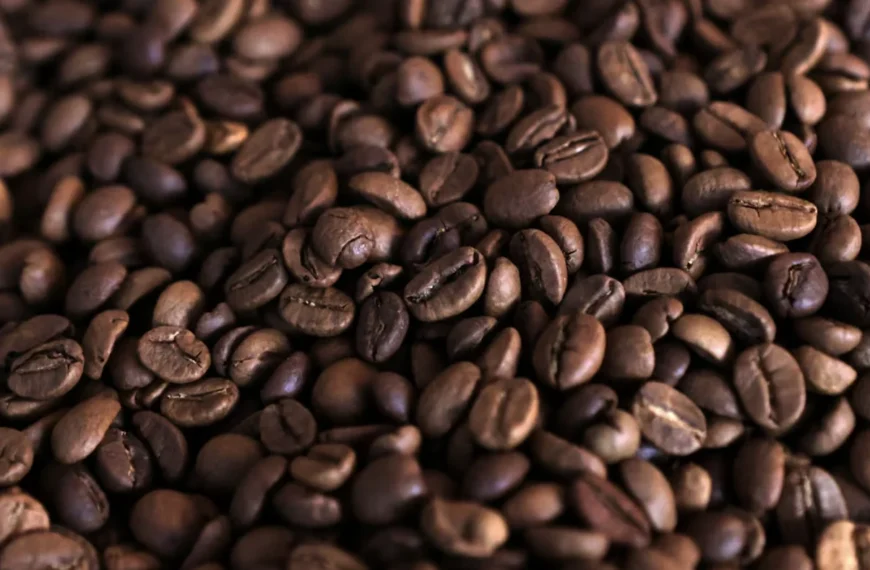 Uganda export earnings surge 63 percent driven coffee