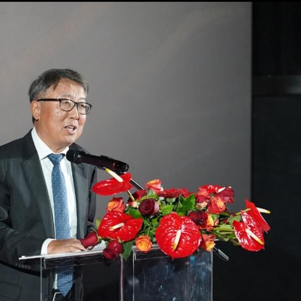 Culture as a Bridge: Strengthening China–Africa Ties Through Film