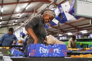 China's zero-tariff policy to boost African export