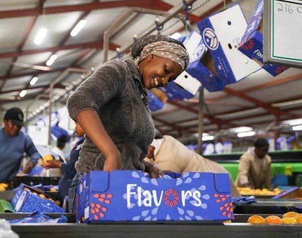 China's zero-tariff policy to boost African export