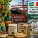 Rwanda’s Cashew Sector Gains New Momentum as China Opens Market Wider to African Exports