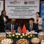 Kenyan trade body partners with Chinese institution to boost mushroom value chain