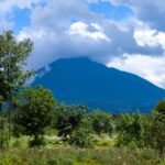 From Farms to Forests: How Communities Around Volcanoes National Park Are Redefining Conservation