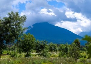 From Farms to Forests: How Communities Around Volcanoes National Park Are Redefining Conservation