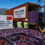 South Africa Ships First Commercial Plum Exports to China