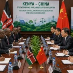 Kenya and China Expand Legislative Dialogue on Green Finance and Rural Electrification