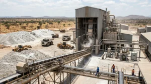 China-Backed Lithium Plant Faces Pressure in Zimbabwe