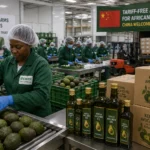 China’s Tariff-Free Market Is Opening a New Door