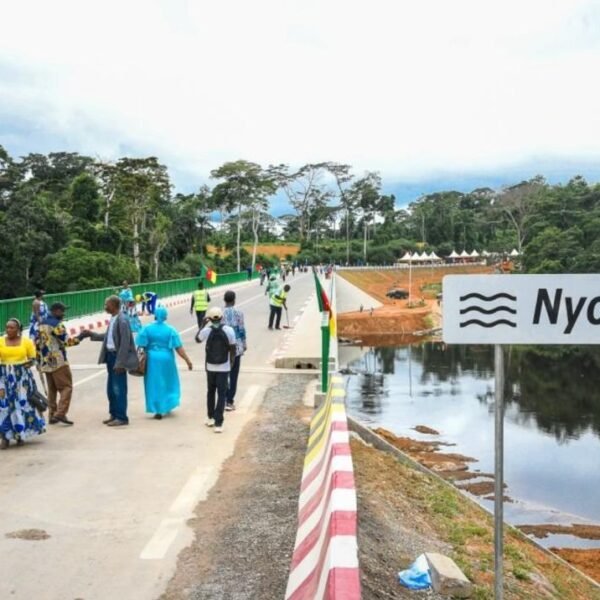 Cameroon Unveils Nyong River Bridge to Boost Regional Connectivity