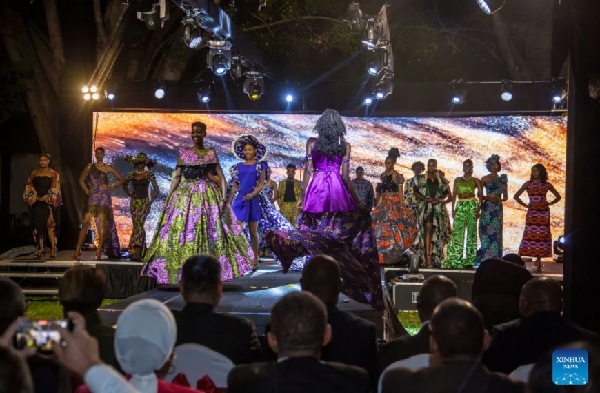China-Zambia partnership