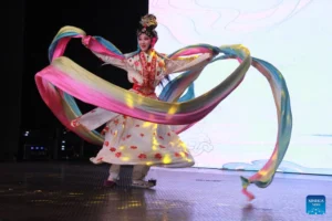Chinese Wu Opera bridges cultures in Zimbabwe