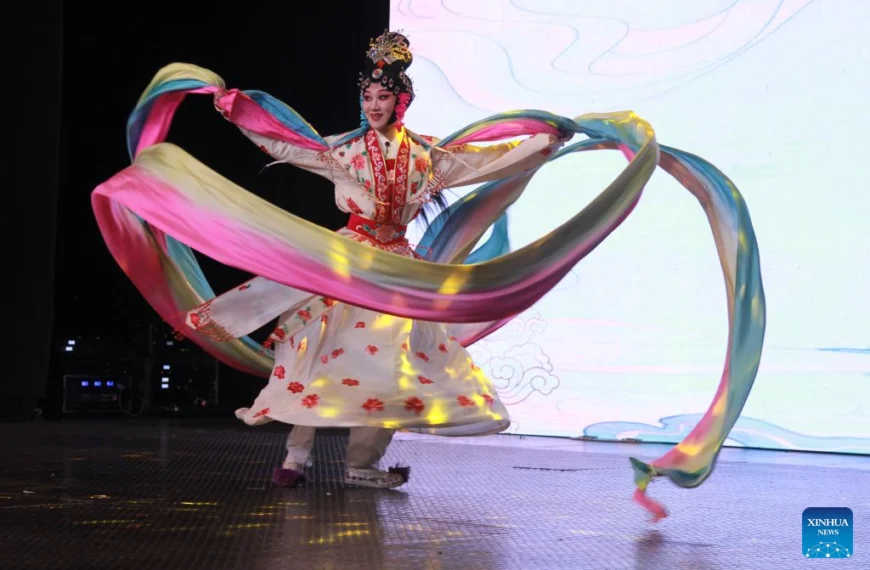 Chinese Wu Opera bridges cultures in Zimbabwe