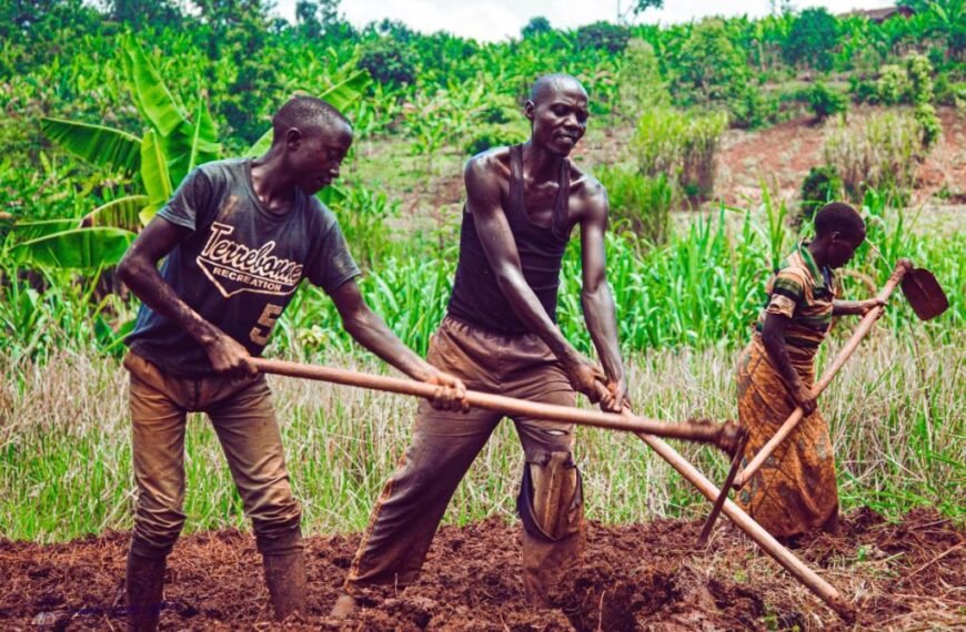agricultural modernisation Uganda