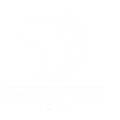 China africa news logo